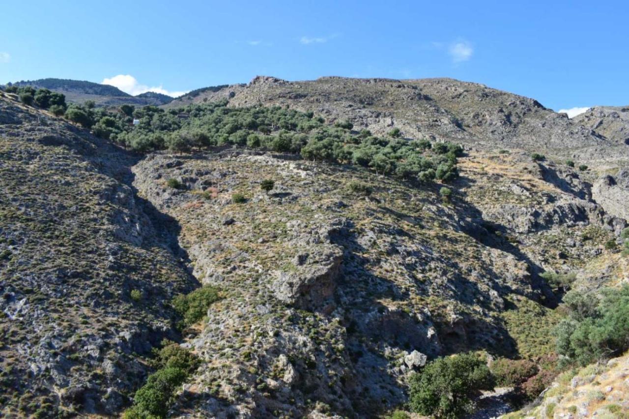 Mesohori Studios Dimos Dimos Sfakia Exteriör bild