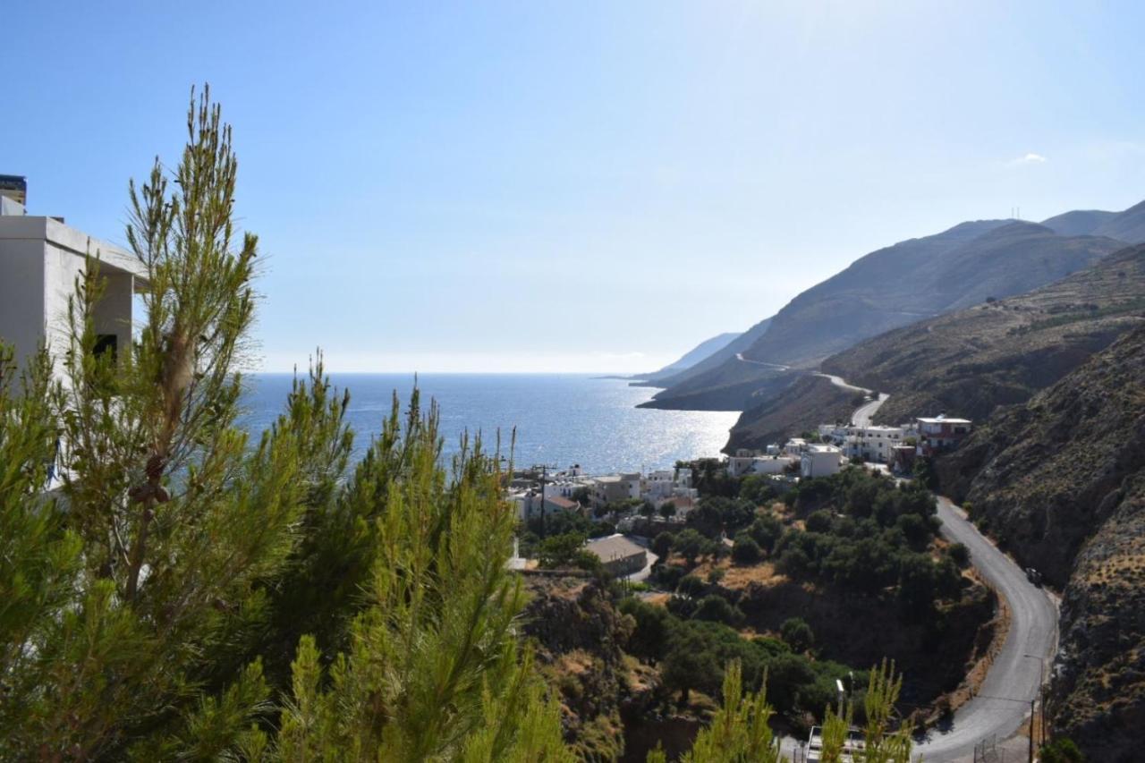 Mesohori Studios Dimos Dimos Sfakia Exteriör bild