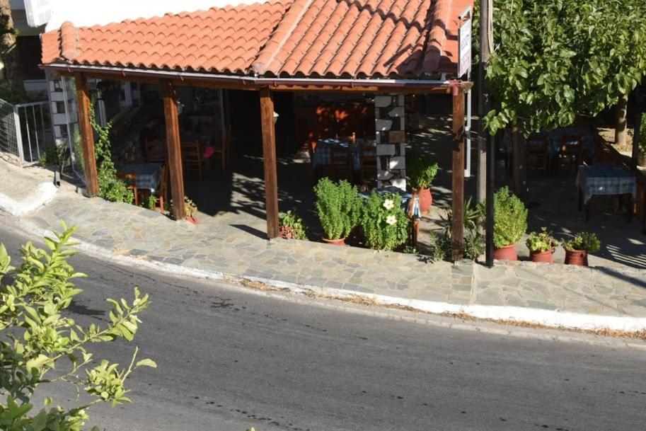 Mesohori Studios Dimos Dimos Sfakia Exteriör bild